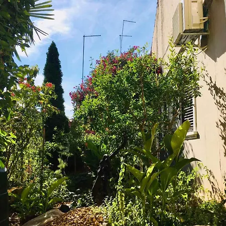 Wish For 2 Apartmani *