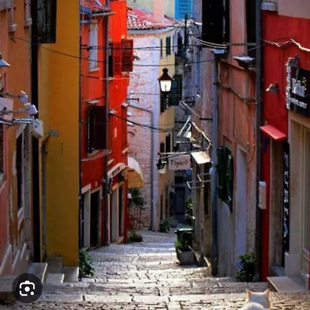 Apartman Wish For 2 *